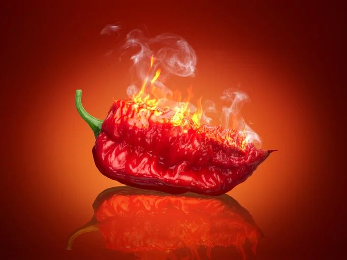 Carolina reaper