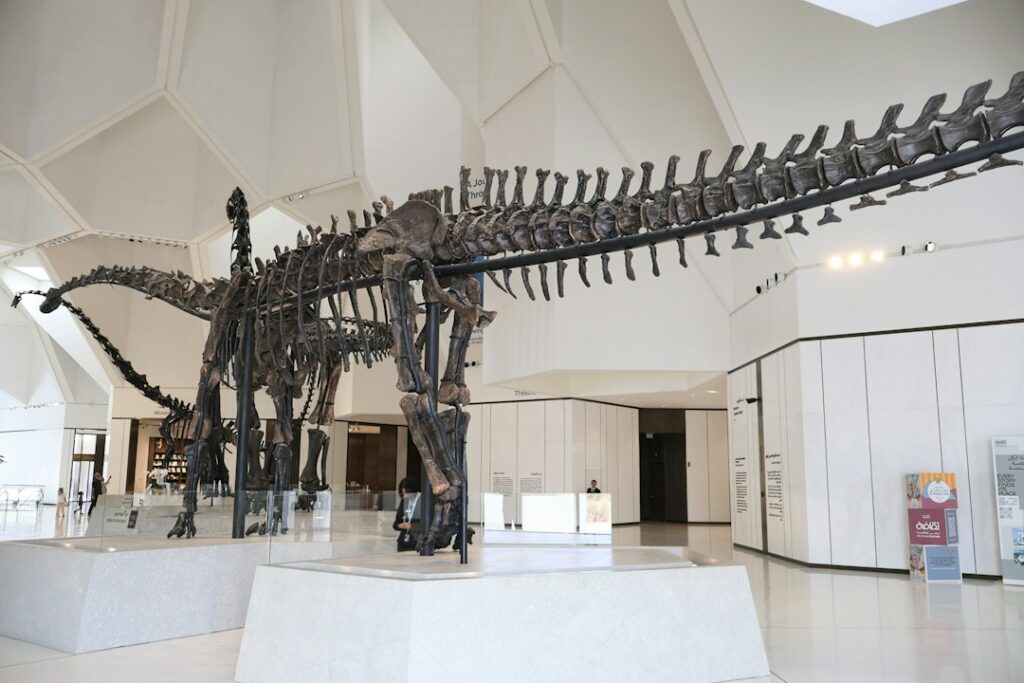 Novo dinossauro é descoberto após ficar esquecido 100 anos