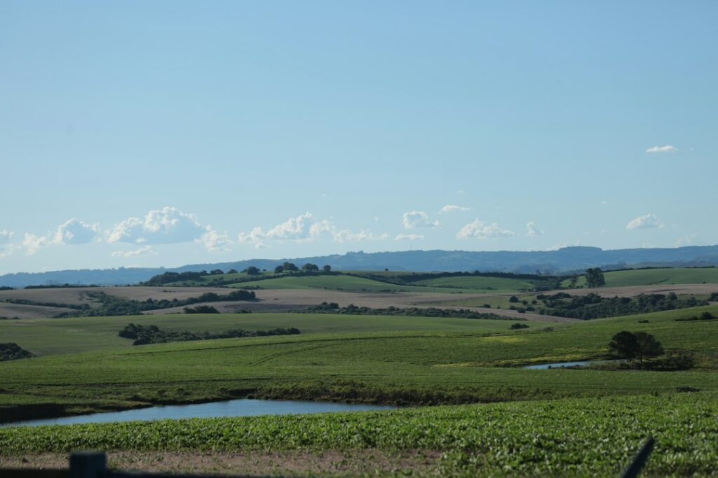 Cerrado perde vegetação nas margens dos rios