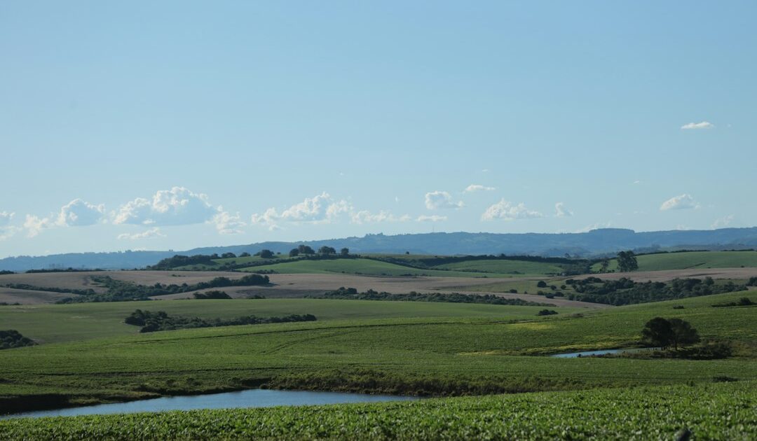 Rio cercado por vegetação nativa de cerrado, representando as margens de rios afetadas pela perda de vegetação no bioma