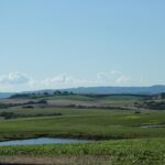 Rio cercado por vegetação nativa de cerrado, representando as margens de rios afetadas pela perda de vegetação no bioma