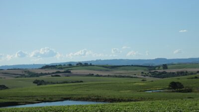 Cerrado perde vegetação nas margens dos rios